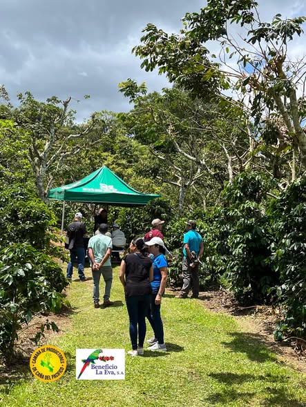Productores en un día de campo entre cafetales, Piedades Norte de San Ramón