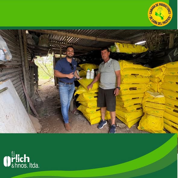 Entrega de insumos en bodega al ganador del mantenimiento de una manzana de café